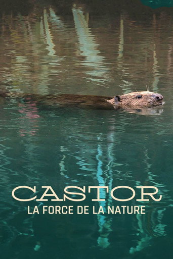 Regarder Castor, la force de la nature en streaming complet