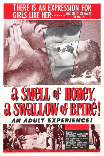 Regarder A Smell of Honey, a Swallow of Brine en streaming complet
