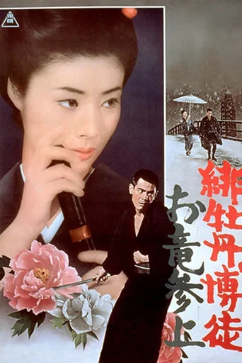 Regarder Lady Yakuza 6 - Le retour d'Oryu en streaming complet