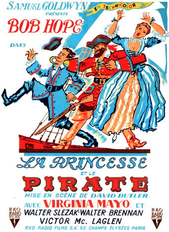 Regarder La Princesse et le Pirate en streaming complet