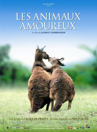 Regarder Les Animaux Amoureux en streaming complet