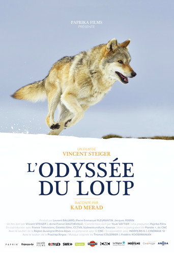Regarder L'Odyssée du loup en streaming complet