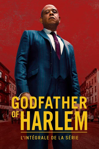 Regarder Godfather of Harlem en streaming complet