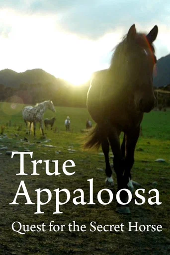 Regarder True Appaloosa en streaming complet