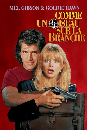Regarder Comme un oiseau sur la branche en streaming complet