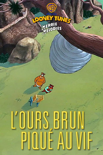 Regarder L'Ours brun piqué au vif en streaming complet