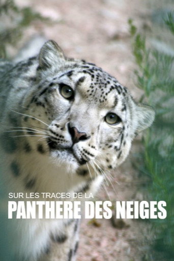 Regarder Sur les traces de la panthère des neiges en streaming complet