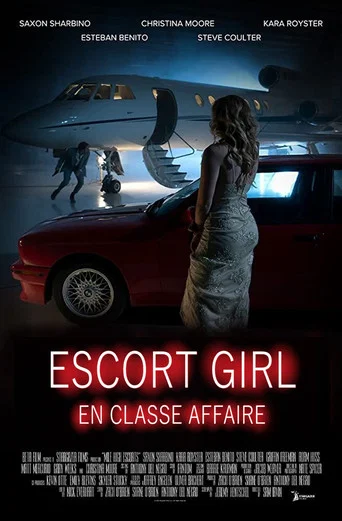 Regarder Escort Girl en classe affaires en streaming complet
