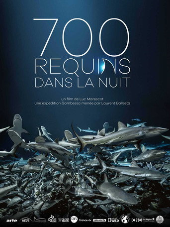 Regarder 700 requins dans la nuit en streaming complet