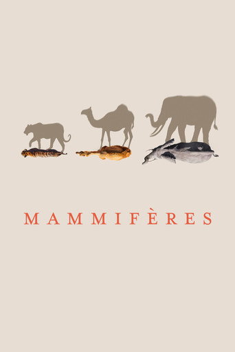 Regarder Mammifères en streaming complet