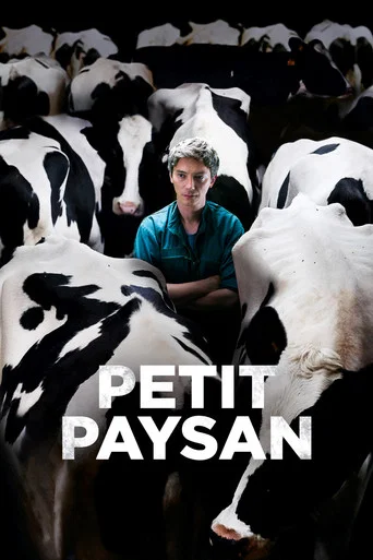 Regarder Petit Paysan en streaming complet
