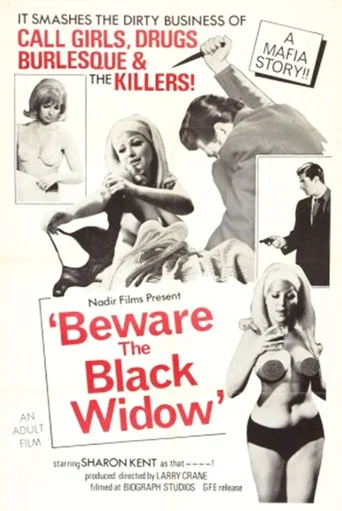 Regarder Beware the Black Widow en streaming complet