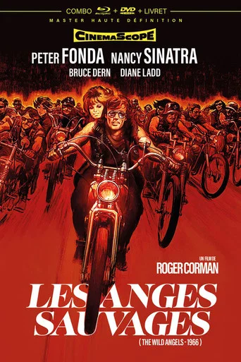 Regarder Les Anges sauvages en streaming complet