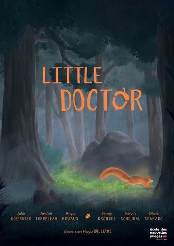 Regarder Little Doctor en streaming complet