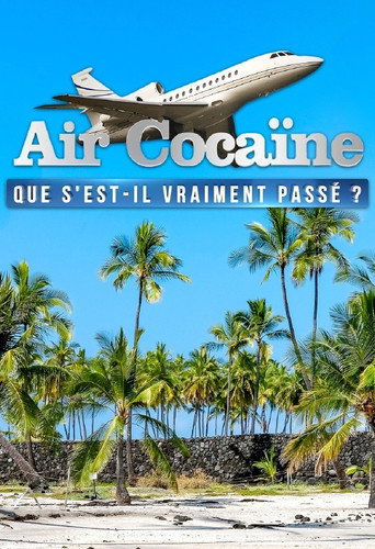 Regarder Air cocaïne : que s'est-il vraiment passé ? en streaming complet