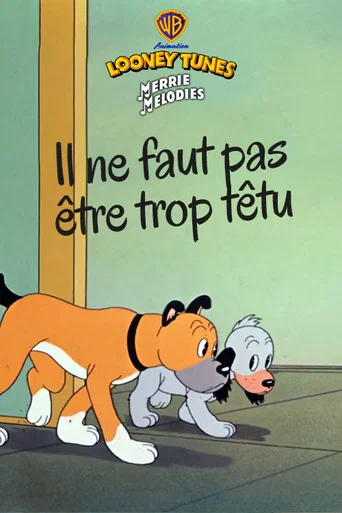 Regarder Il ne faut pas être trop têtu en streaming complet