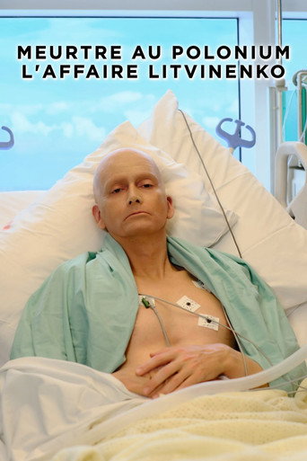 Regarder Meurtre au Polonium - L'affaire Litvinenko en streaming complet