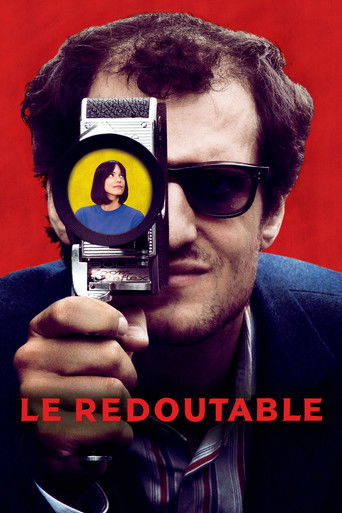 Regarder Le Redoutable en streaming complet