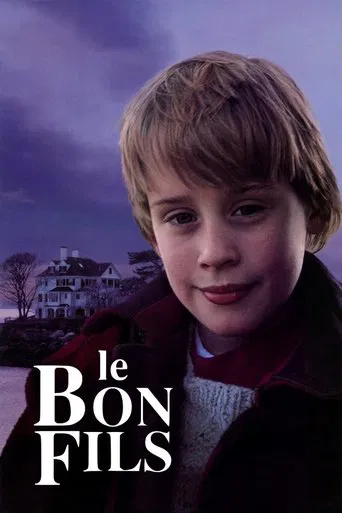 Regarder Le Bon Fils en streaming complet