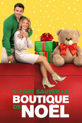Regarder Il faut sauver la boutique de Noël en streaming complet
