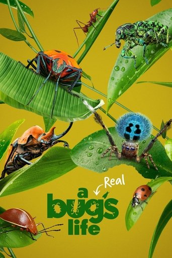 Regarder A Real Bug's Life en streaming complet