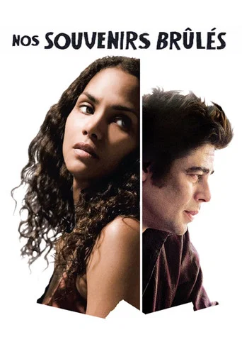 Regarder Things We Lost in the Fire en streaming complet