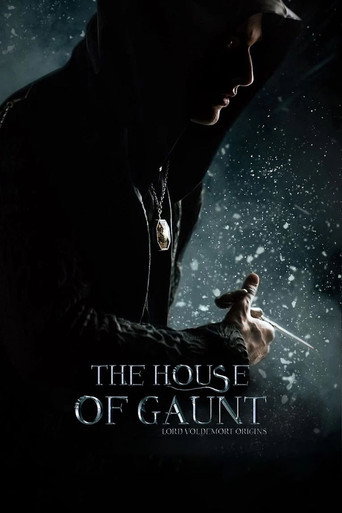 Regarder The House of Gaunt : Lord Voldemort Origins en streaming complet