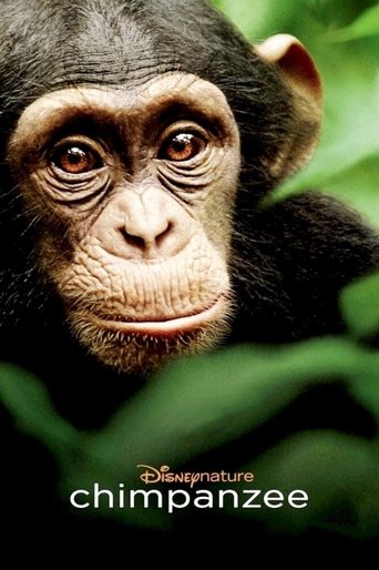 Regarder Chimpanzés en streaming complet